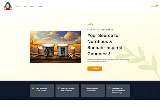design and develop a professional wordpress website or blog